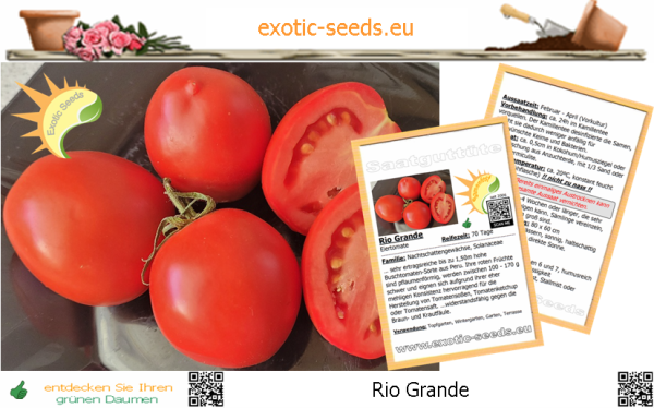 Tomate * Rio Grande * 50 Samen